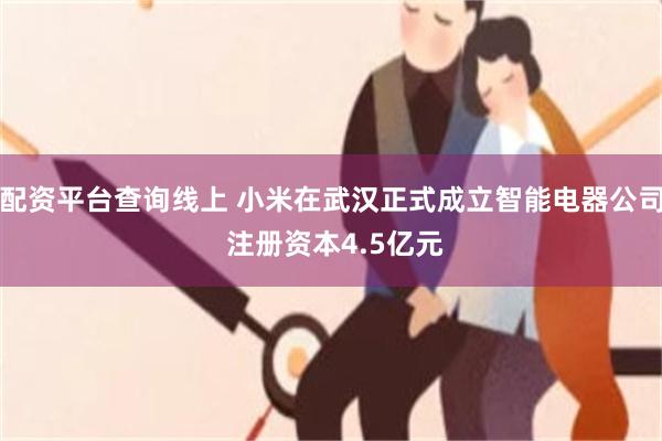 配资平台查询线上 小米在武汉正式成立智能电器公司 注册资本4.5亿元