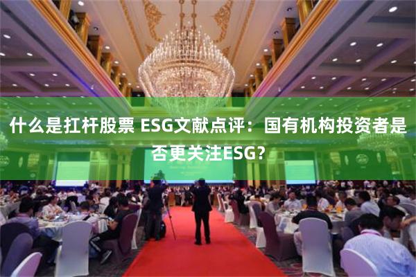 什么是扛杆股票 ESG文献点评:国有机构投资者是否更关注ESG?