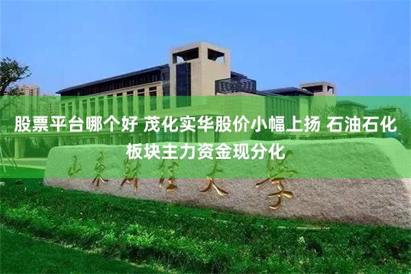 股票平台哪个好 茂化实华股价小幅上扬 石油石化板块主力资金现分化