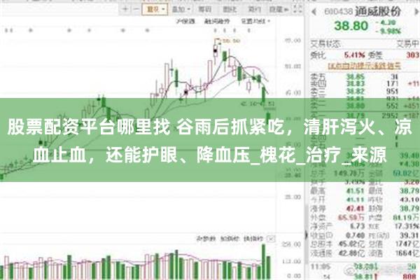 股票配资平台哪里找 谷雨后抓紧吃，清肝泻火、凉血止血，还能护眼、降血压_槐花_治疗_来源