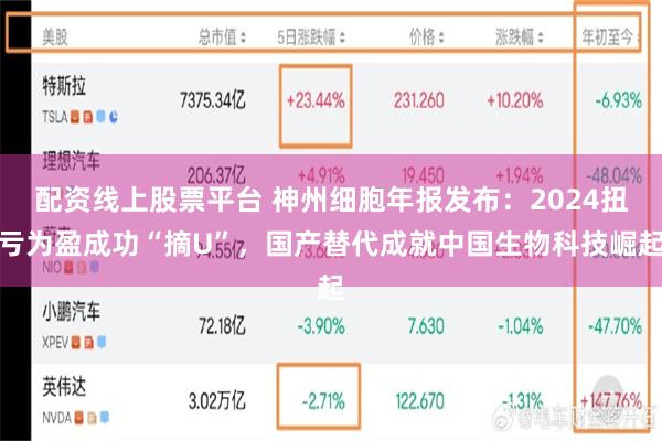 配资线上股票平台 神州细胞年报发布：2024扭亏为盈成功“摘U”，国产替代成就中国生物科技崛起