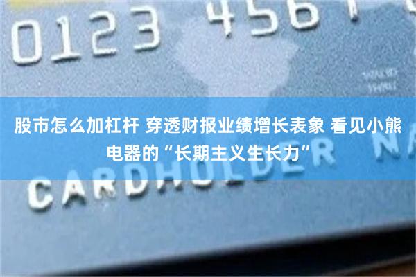 股市怎么加杠杆 穿透财报业绩增长表象 看见小熊电器的“长期主义生长力”