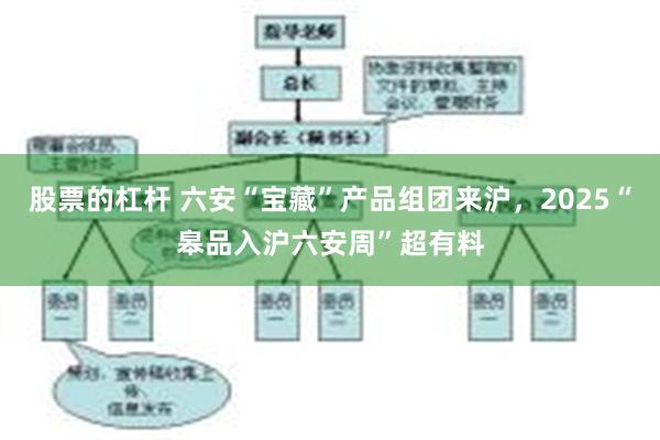 股票的杠杆 六安“宝藏”产品组团来沪，2025“皋品入沪六安周”超有料
