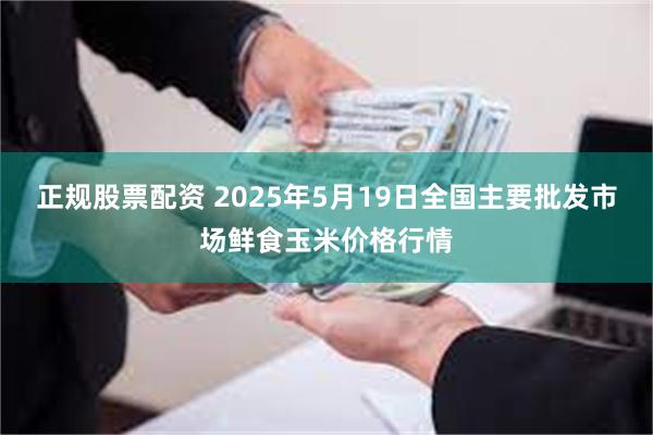 正规股票配资 2025年5月19日全国主要批发市场鲜食玉米价格行情