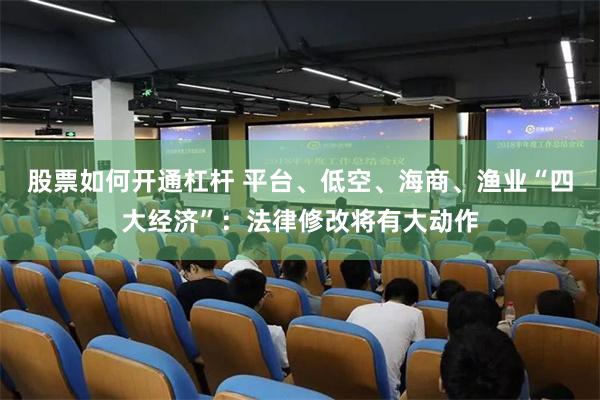 股票如何开通杠杆 平台、低空、海商、渔业“四大经济”：法律修改将有大动作
