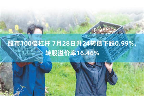 股市100倍杠杆 7月28日升24转债下跌0.99%，转股溢价率16.46%