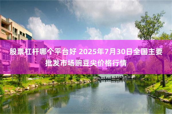 股票杠杆哪个平台好 2025年7月30日全国主要批发市场豌豆尖价格行情