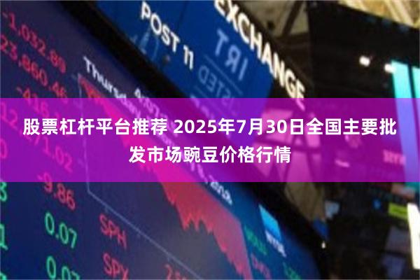 股票杠杆平台推荐 2025年7月30日全国主要批发市场豌豆价格行情