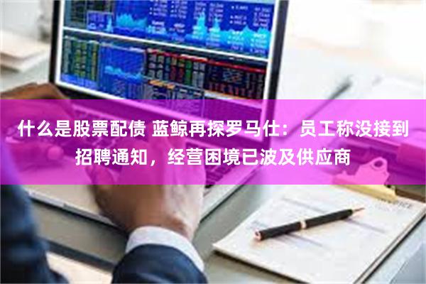 什么是股票配债 蓝鲸再探罗马仕：员工称没接到招聘通知，经营困境已波及供应商