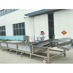 蔬菜水果清洗機功能 蕪湖蔬菜水果清洗機 諸城邁瑞特